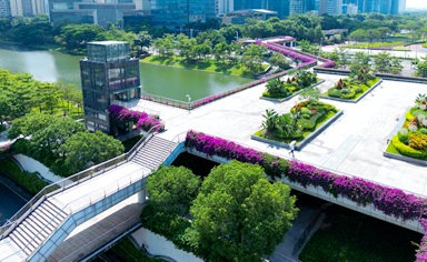 拉萨物业城市项目时花采购及配套服务